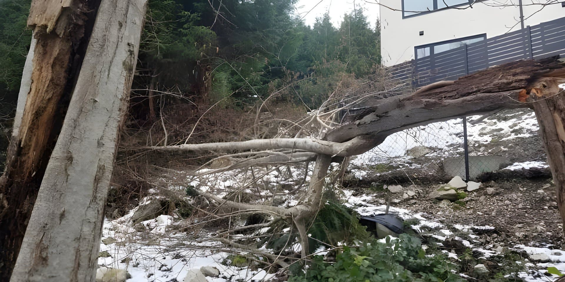 Emergency Service in Port Coquitlam