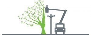TREE utility conflict