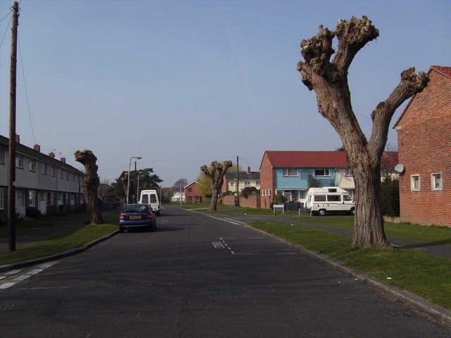 Topped trees in Brading Avenue geograph.org .uk 1226503