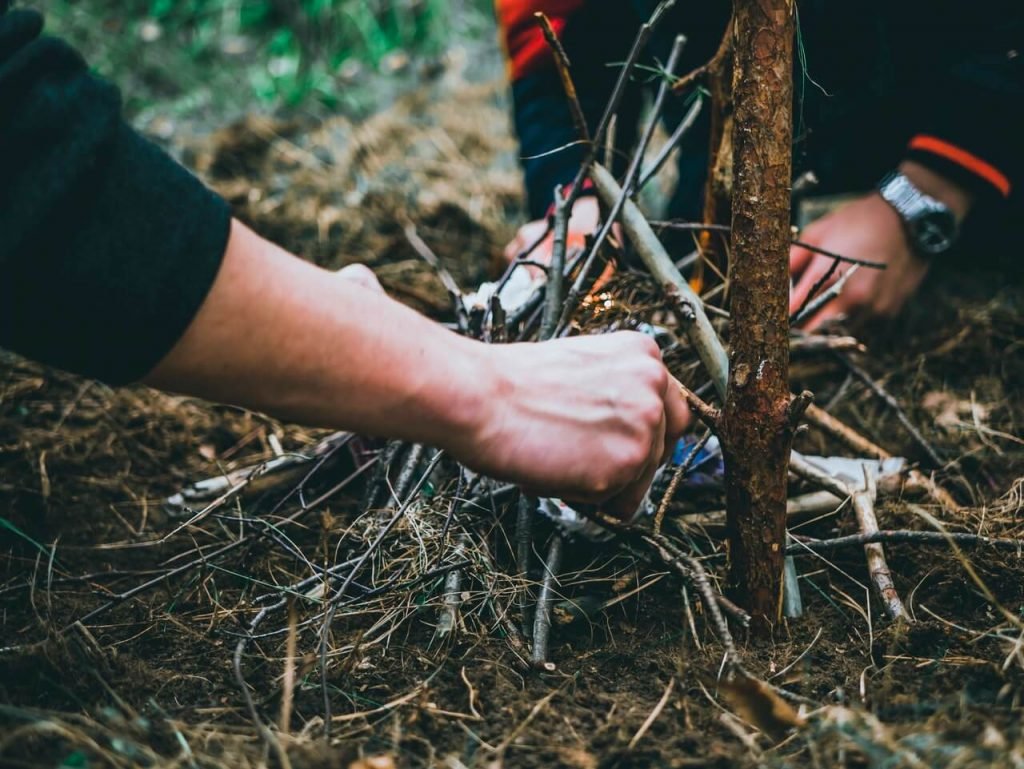 forest fuel
