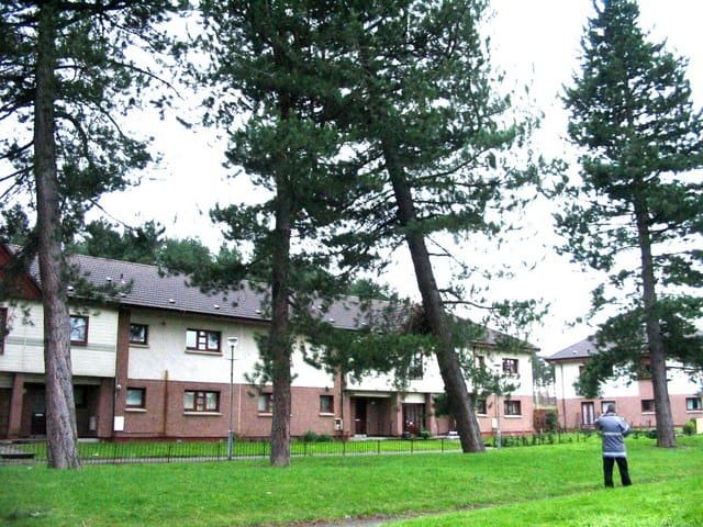 Possible dangerous tree geograph.org .uk 563926