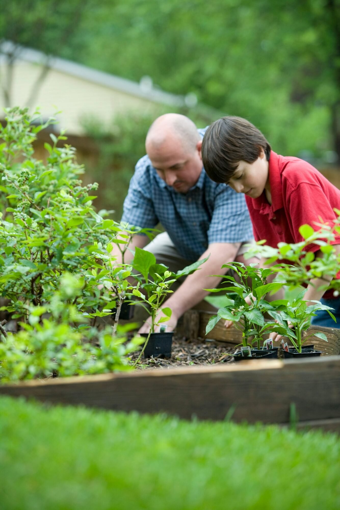 Medieval Dynasty'S Biggest Mystery: Tree Replanting Solved! - xhwz0km