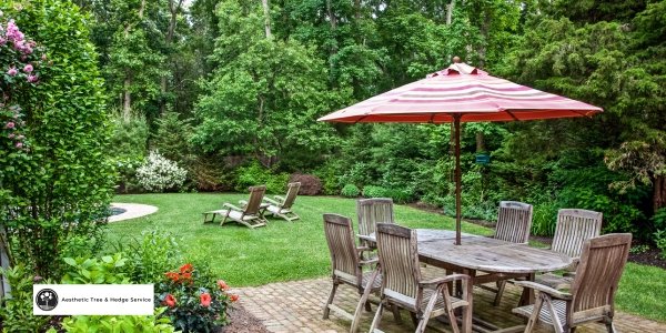 vancouver arborist aesthetic tree care service