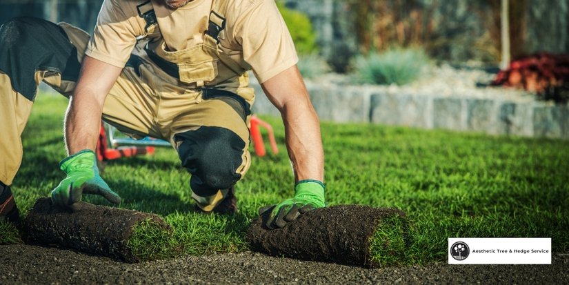 vancouver landscaping costs with professional aethetic tree's vancouver landscaper installing new rolls of grass turfs 